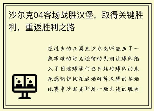 沙尔克04客场战胜汉堡，取得关键胜利，重返胜利之路